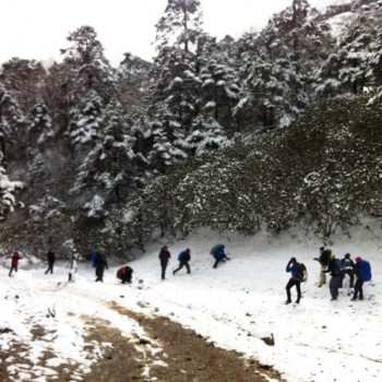 Enjoying  with Snow on Everest Gokyo Cho La Pass Trek